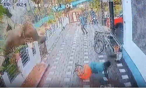 കാടുപേക്ഷിക്കുന്ന മൃഗങ്ങൾ