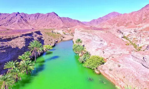 തു​ട​ർ​ച്ച​യാ​യ മ​ഴ, ഡാ​മു​ക​ൾ നി​റ​ഞ്ഞു; ക​ർ​ഷ​ക മ​ന​വും