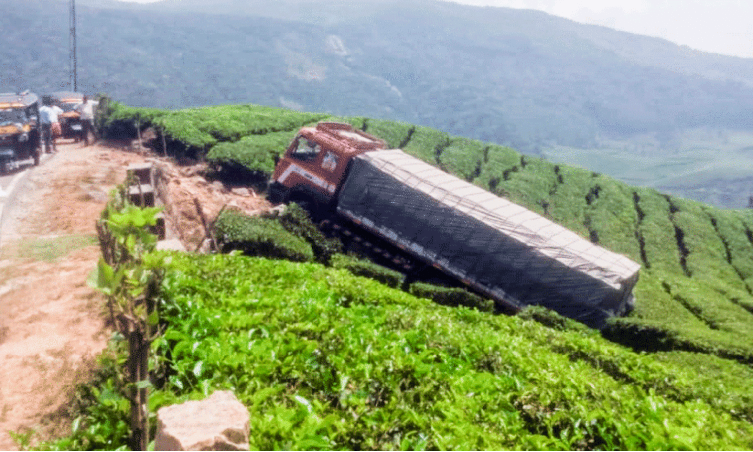 wild elephant attack