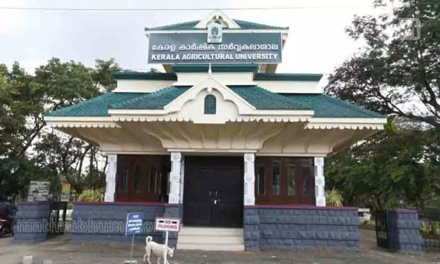 സൗജന്യ ഓൺലൈൻ പരിശീലനം