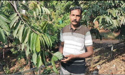 ഫ​ല​വൃ​ക്ഷ​ങ്ങ​ളു​ടെ കൂ​ട്ടു​കാ​ര​നാ​യി പൊ​ലീ​സ്​ ഉ​ദ്യോ​ഗ​സ്ഥ​ൻ