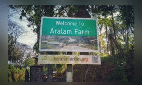 ആറളം ഫാം പുനരുദ്ധാരണത്തിന് 4.14 കോടി