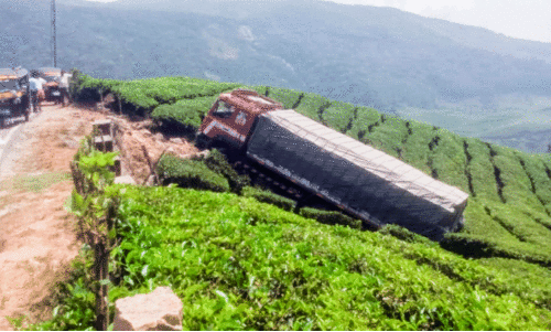 wild elephant attack