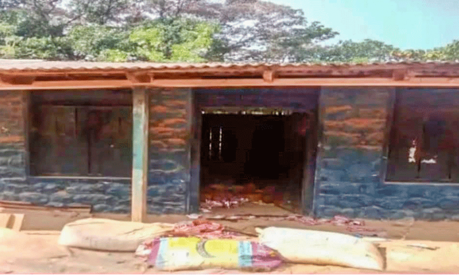 wild elephant attack