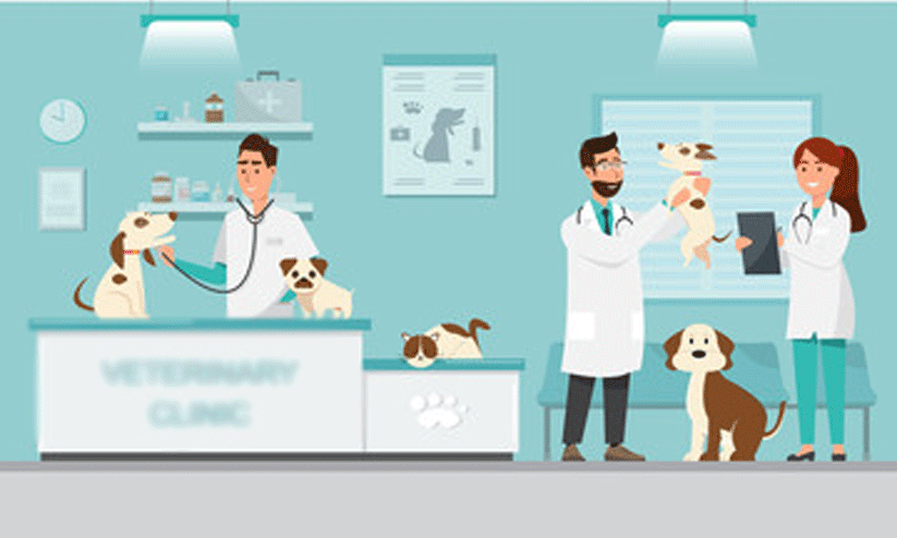 മൃഗസംരക്ഷണ വകുപ്പിൽ കരാർ നിയമനം മൃഗസംരക്ഷണ വകുപ്പിൽ കരാർ നിയമനം