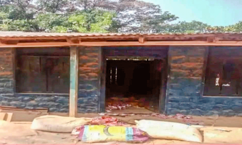 wild elephant attack wild elephant attack