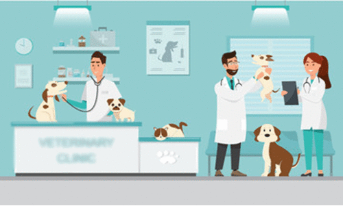 മൃഗസംരക്ഷണ വകുപ്പിൽ കരാർ നിയമനം