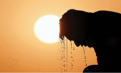 വയനാട്ടിൽ ചൂട് വർധിക്കുന്നു വയനാട്ടിൽ ചൂട് വർധിക്കുന്നു