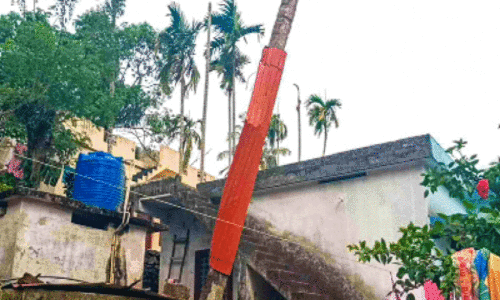 വന്യമൃഗശല്യം: തെങ്ങുകള്‍ മുറിച്ചുമാറ്റി തെന്മലക്കാര്‍