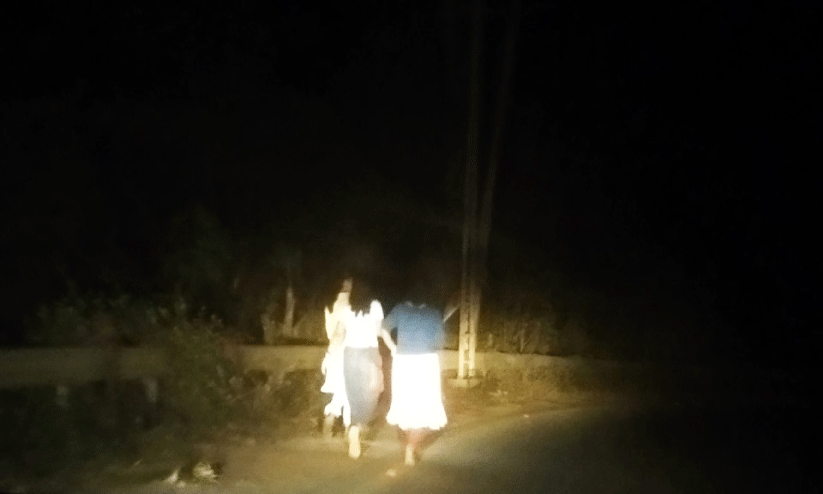 തളിപ്പുഴ മുതൽ ലക്കിടി ചുരംവരെ തെരുവുവിളക്കില്ല; പൂക്കോട് സർവകലാശാലയിലേക്ക് ഇരുട്ട് യാത്ര