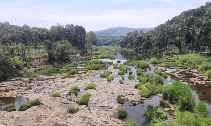 Pamba river