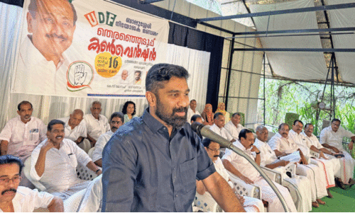 സി.എ.എ വിഷയത്തിൽ മുഖ്യമന്ത്രി പച്ചനുണ പറയുന്നു -വി.ടി. ബൽറാം