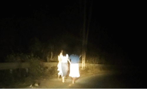 തളിപ്പുഴ മുതൽ ലക്കിടി ചുരംവരെ തെരുവുവിളക്കില്ല; പൂക്കോട് സർവകലാശാലയിലേക്ക് ഇരുട്ട് യാത്ര