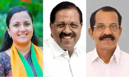 ഇനി ​ഗോദക്ക് തീപിടിക്കും കാലം