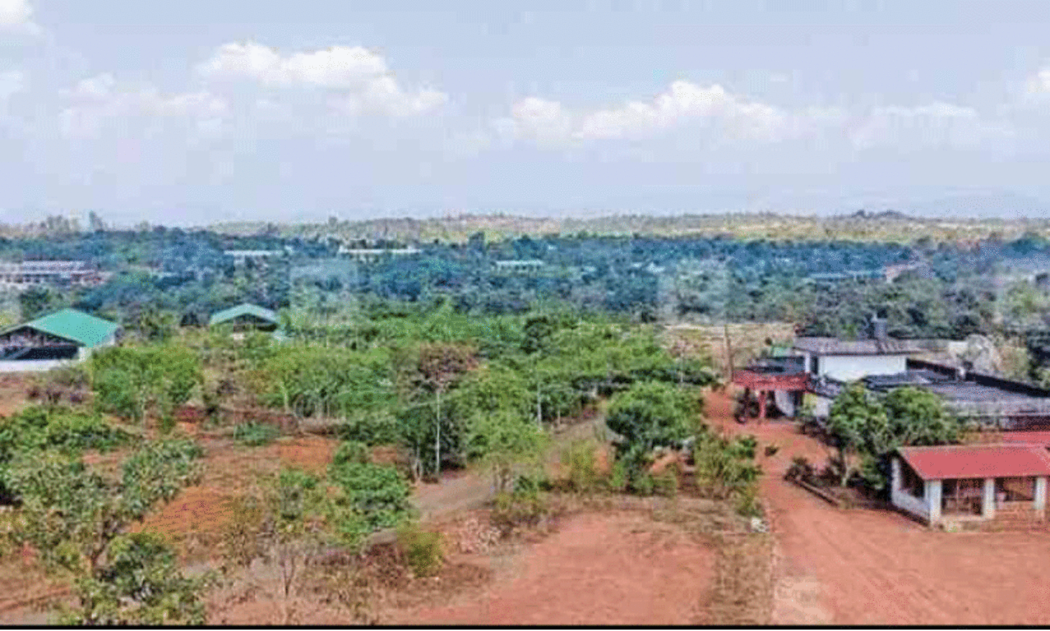 ഭൂമി വിട്ടുകൊടുക്കൽ; ചീമേനി എസ്റ്റേറ്റ് മെലിയുന്നു