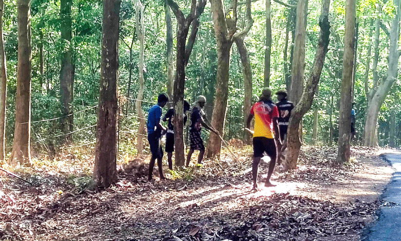 വനാവരണം പദ്ധതിക്ക് പ്രാരംഭ നടപടികളായി വനാവരണം പദ്ധതിക്ക് പ്രാരംഭ നടപടികളായി