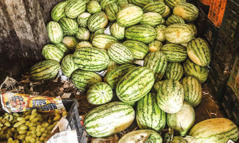 watermelon watermelon