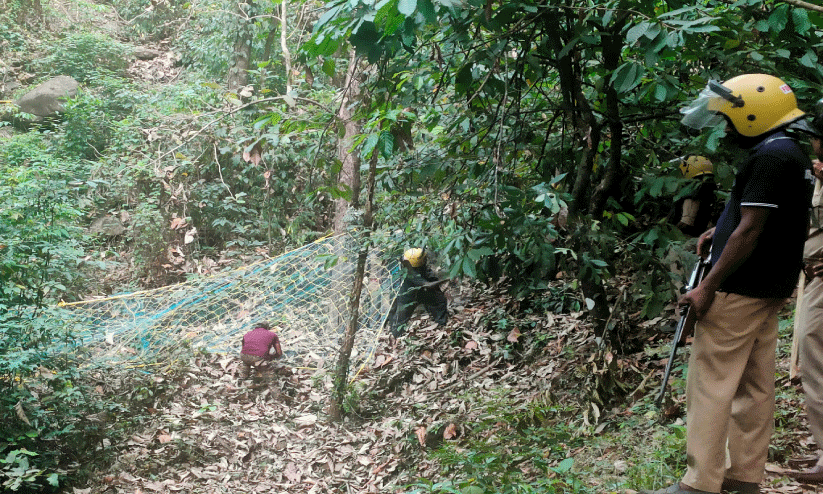 മയക്കുവെടി വെക്കാനായില്ല; കരിയംകാപ്പിൽ കടുവ ദൗത്യം പരാജയം
