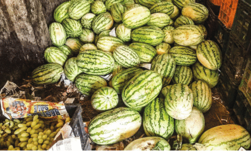 watermelon watermelon