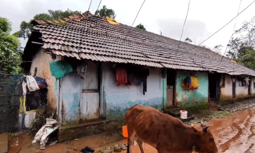 plantations plantations