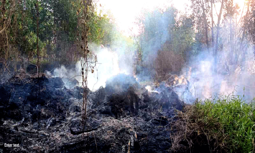 കൊച്ചുവേളിയില്‍ 10 ഏക്കറോളം സ്ഥലത്ത്​ വൻ തീപിടിത്തം