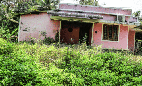 ചീ​നി​ക്കു​ഴി​യി​ലെ വീ​ട്​