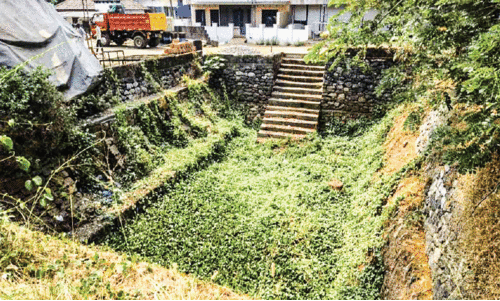 കുളം കുളം