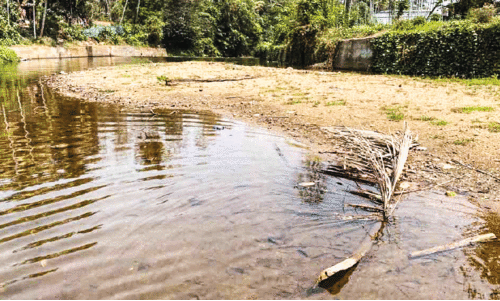 ത​ട​യ​ണ മ​ണ്ണ് മൂ​ടി​യ നി​ല​യി​ൽ