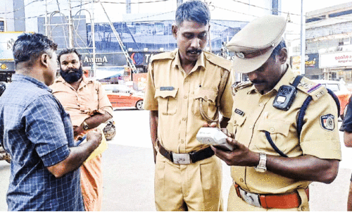 inspection inspection