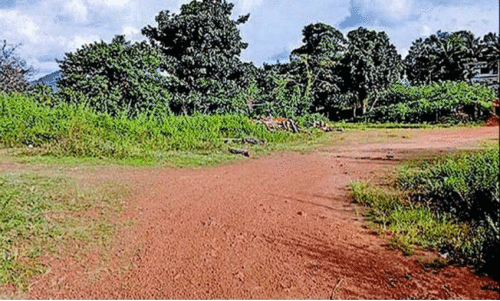 എവിടെ പരപ്പ ബസ്​ സ്റ്റാൻഡ്?