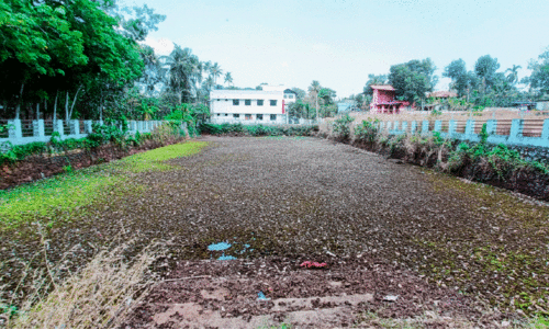 പുത്തൂർ പഴവറ ചിറ പുത്തൂർ പഴവറ ചിറ