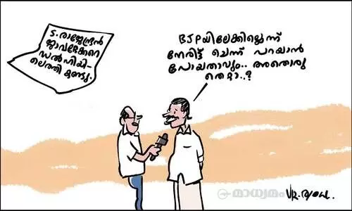 അതൊരു തെറ്റാ?