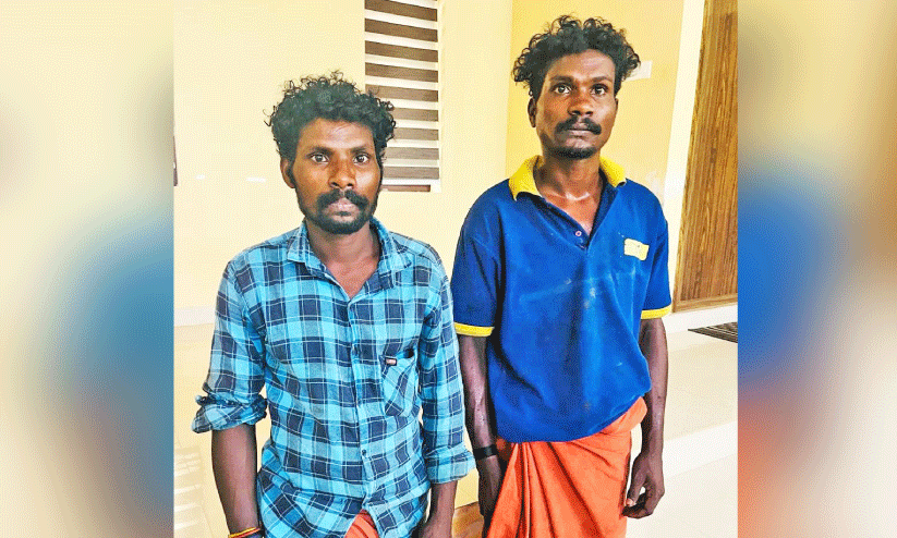 വ​നത്തിൽ തീയിട്ട സം​ഭ​വ​ം: ര​ണ്ടുപേ​ർ അ​റ​സ്റ്റിൽ