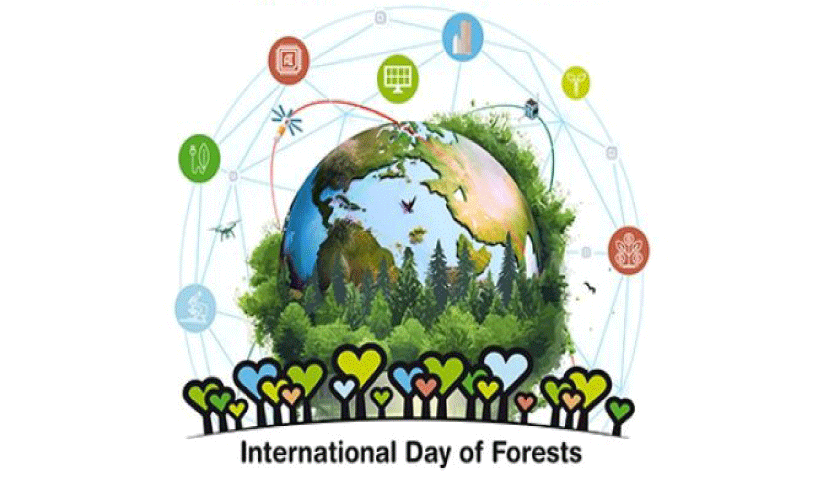 ഇന്ന് വനദിനം; സ്വാഭാവിക വനങ്ങൾക്ക് വെല്ലുവിളിയായി ഏകവിള തോട്ടങ്ങൾ ഇന്ന് വനദിനം; സ്വാഭാവിക വനങ്ങൾക്ക് വെല്ലുവിളിയായി ഏകവിള തോട്ടങ്ങൾ