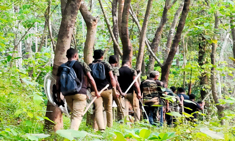 വനപാലകർക്കു നേരെ കുതിച്ചു ചാടി കടുവ; അപകടമൊഴിവാക്കാൻ നിറയൊഴിച്ചു