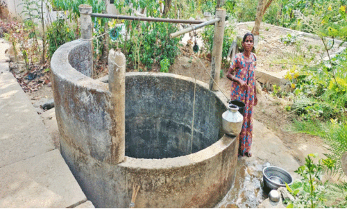 കു​ടി​വെ​ള്ള​മി​ല്ല: ഇ​രു​ളം കോ​ള​നി​യി​ൽ 23 കു​ടും​ബ​ം ദു​രി​ത​ത്തി​ൽ