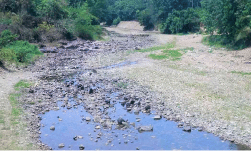 മലയോരത്ത് വരൾച്ച രൂക്ഷം; ബാരാപോൾ, കക്കുവ പുഴകളിൽ നീരൊഴുക്ക് കുറഞ്ഞു