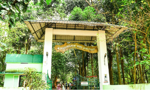 എ​റ​ണാ​കു​ളം മം​ഗ​ള​വ​നം