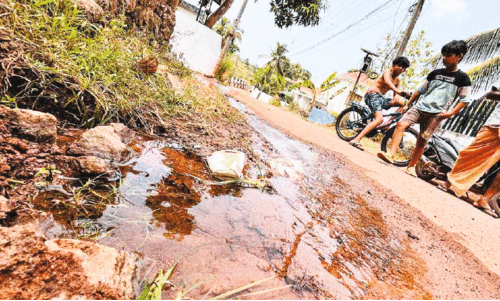 ശു​ദ്ധ​ജ​ലം പാ​ഴാ​വു​ന്നു