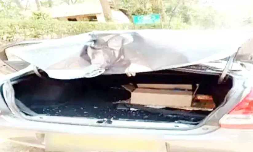 wild elephant attack wild elephant attack