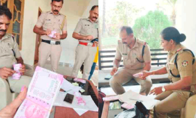 money counting money counting