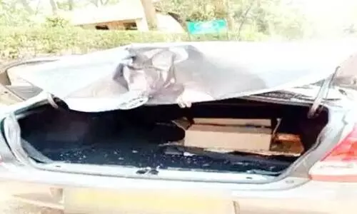 wild elephant attack