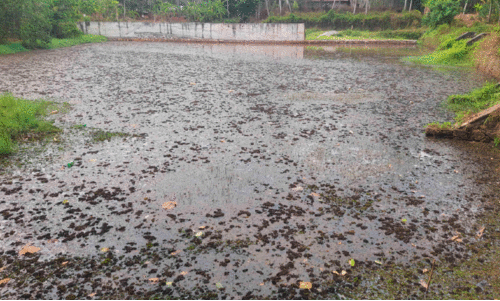 വെണ്ണിച്ചിറ കുളം വെണ്ണിച്ചിറ കുളം