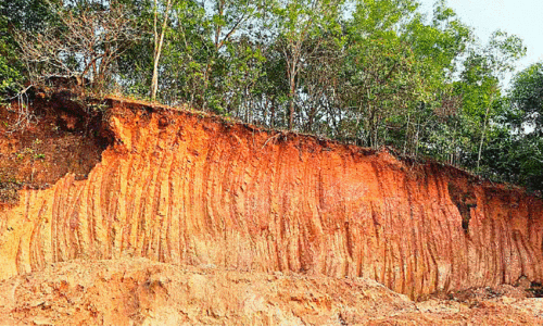 തമ്പുരാൻകുന്ന് തമ്പുരാൻകുന്ന്