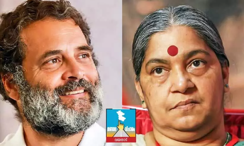 rahul gandhi, ani raja rahul gandhi, ani raja