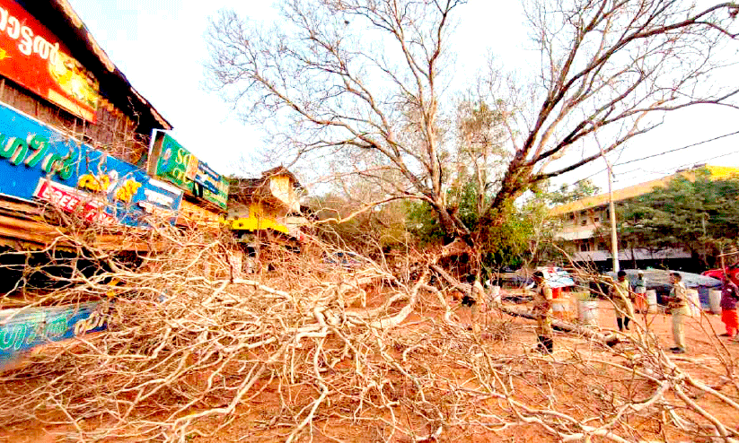 മ​രം ഒ​ടി​ഞ്ഞു​വീ​ണ​പ്പോ​ൾ