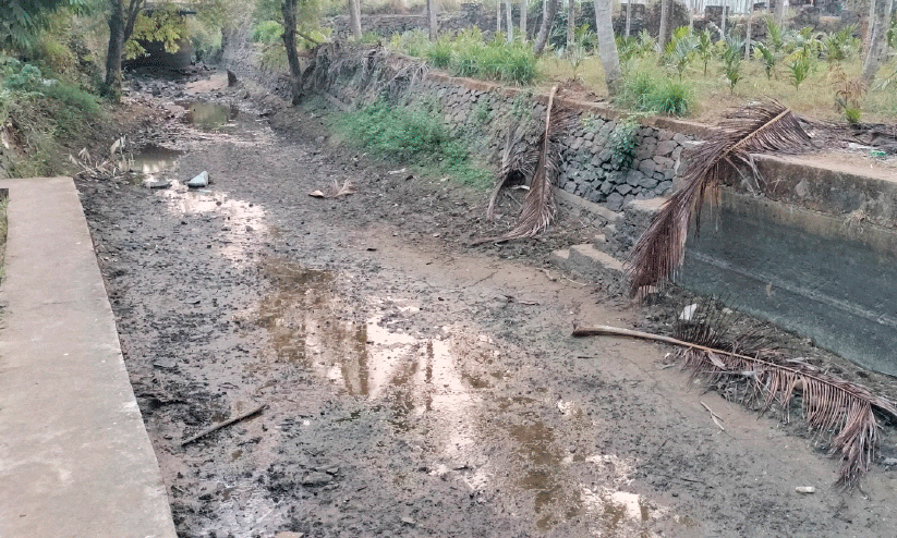 ചെക്ക് ഡാം ചെക്ക് ഡാം