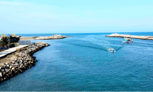 മു​ത​ല​പ്പൊ​ഴി