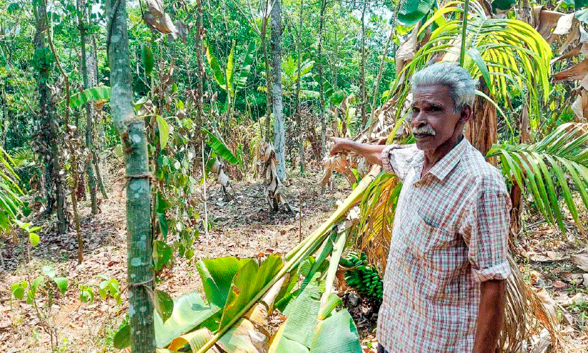 ദേ​വ​സ്യ