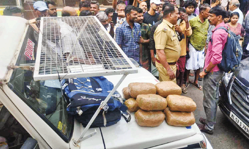പി​ടി​കൂ​ടി​യ ക​ഞ്ചാ​വ്